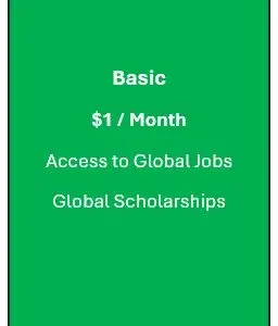 Basic 12 Months